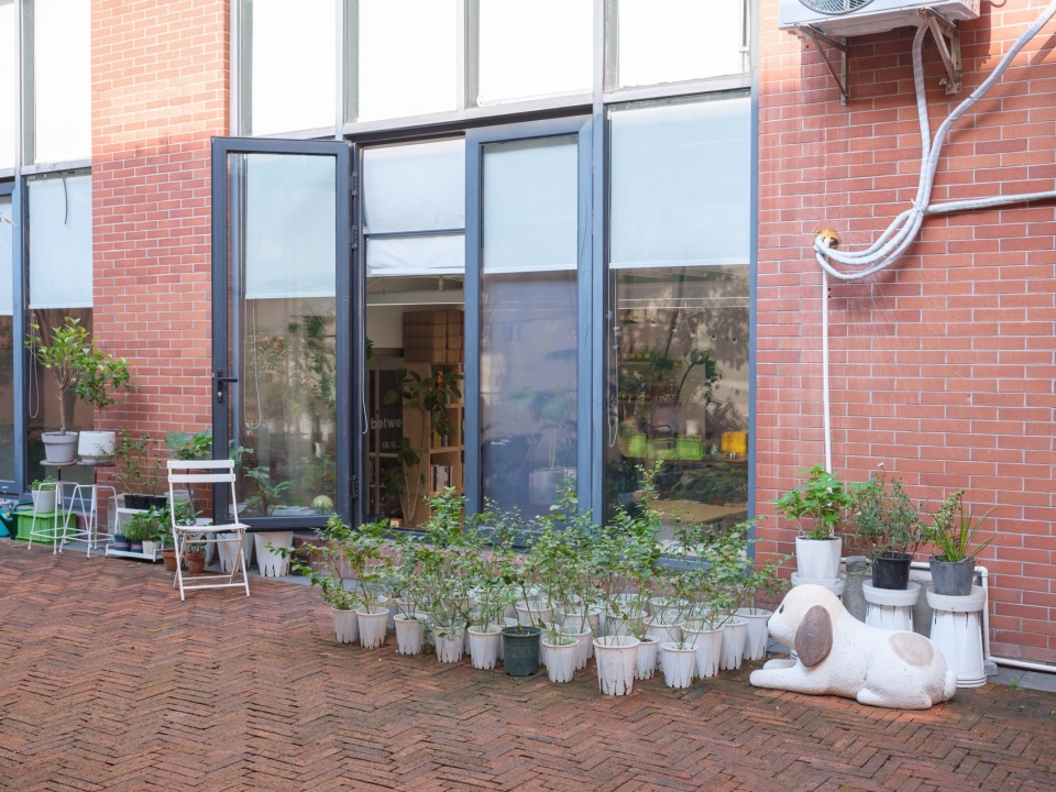 Paddy Lab by BE DESIGN CONSULTANCY