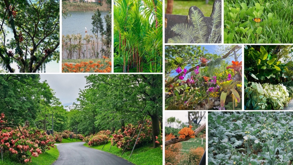 Landscape Design of Haitang River Ecological Park Phase II by LOLA Landscape Architects