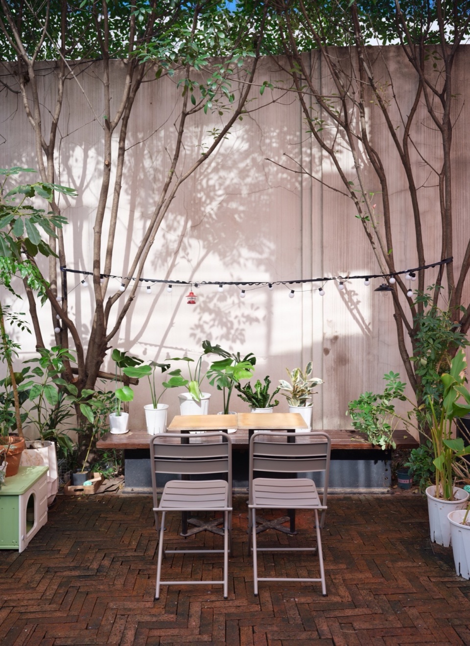 Paddy Lab by BE DESIGN CONSULTANCY