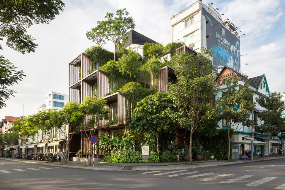 tony fruit office by taa design