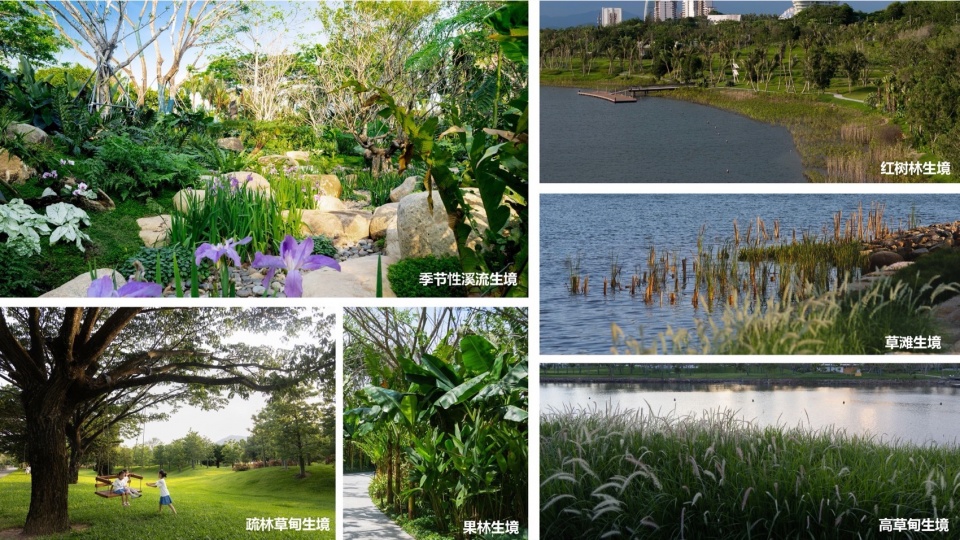 Landscape Design of Haitang River Ecological Park Phase II by LOLA Landscape Architects