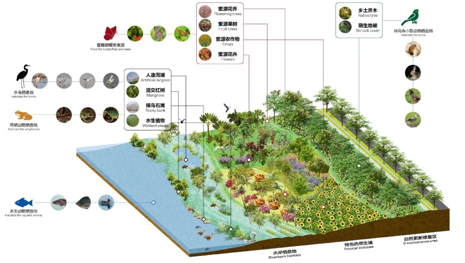 Landscape Design of Haitang River Ecological Park Phase II by LOLA Landscape Architects