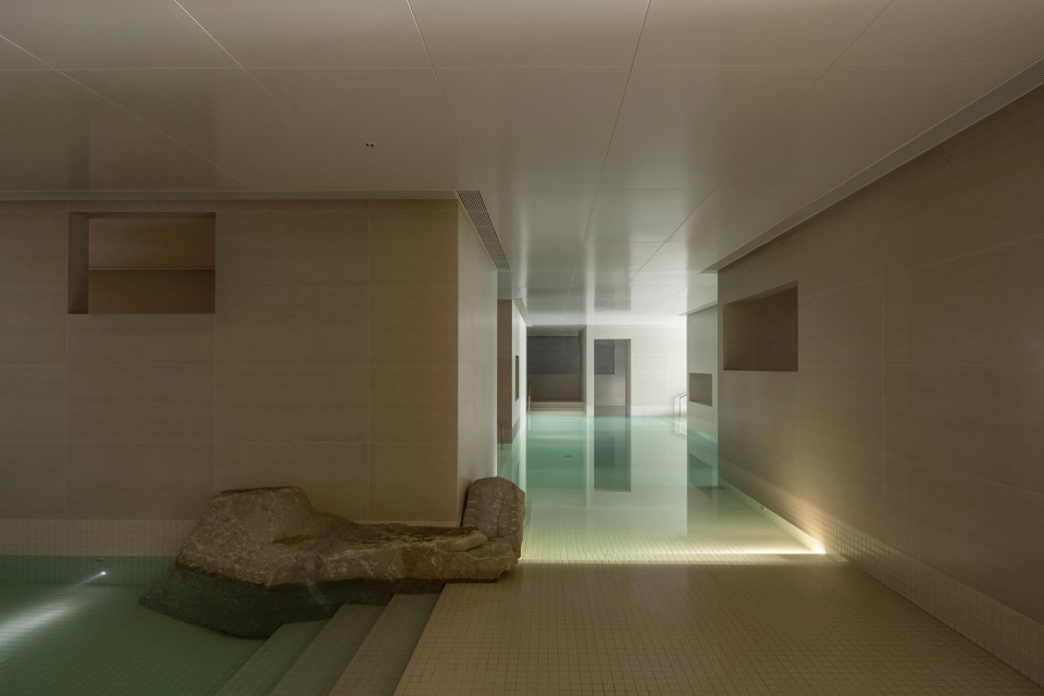 joyous spring wellness center by soong lab