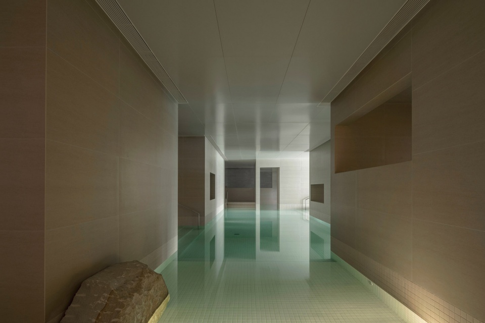 joyous spring wellness center by soong lab