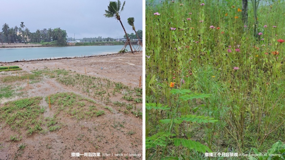 Landscape Design of Haitang River Ecological Park Phase II by LOLA Landscape Architects