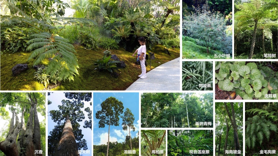 Landscape Design of Haitang River Ecological Park Phase II by LOLA Landscape Architects