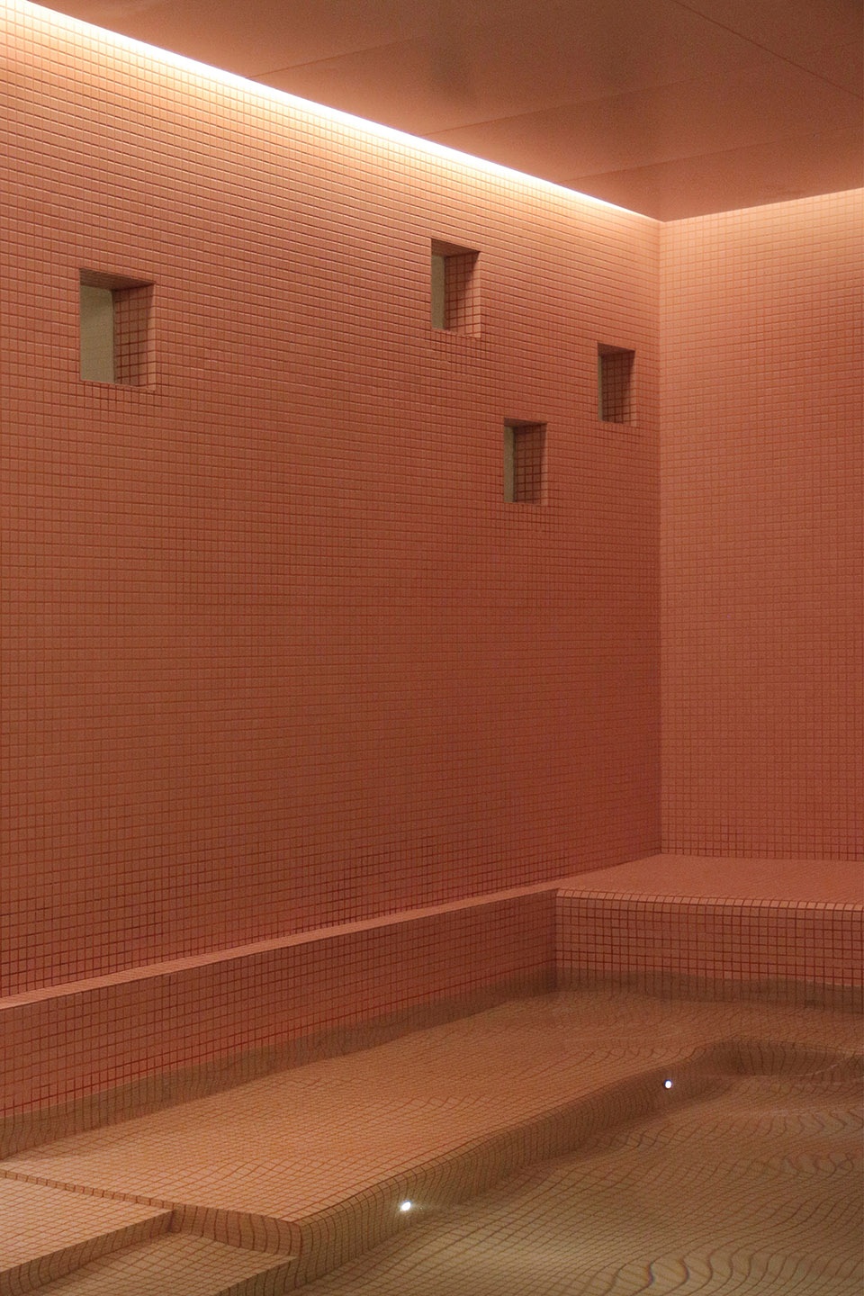 joyous spring wellness center by soong lab