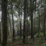 Calfuco Refuge by Tomas de Iruarrizaga