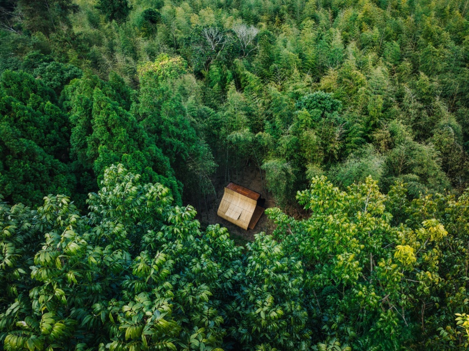 Bamboo Cabin Plan Sticky Rice Dumpling by Cheng Tsung FENG