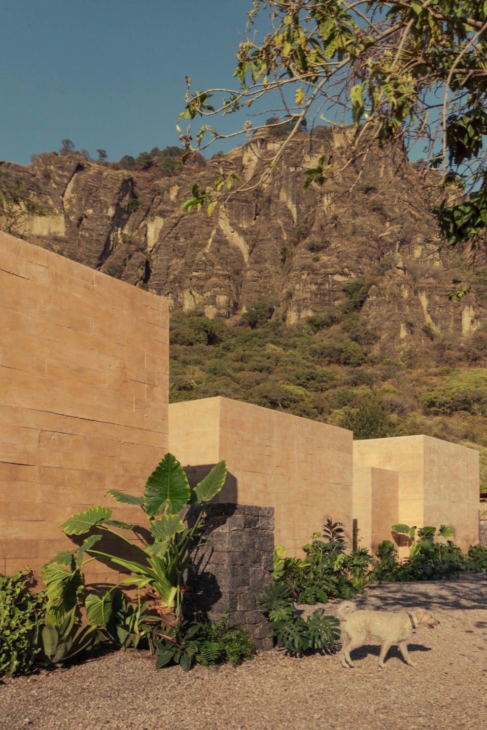 LL HOUSE by RA