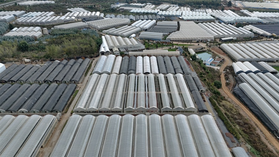 the Marquee Shed of the 2024 Dianchi Art Season by Someyoung Architects