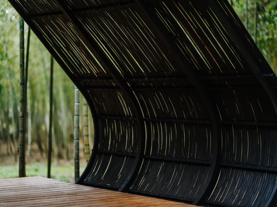 Bamboo Cabin Plan Sticky Rice Dumpling by Cheng Tsung FENG