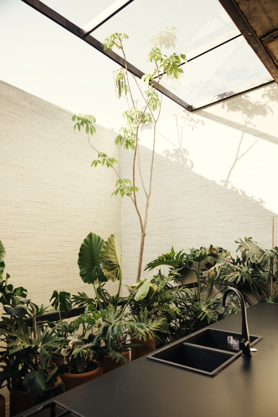 Casa Arco RootStudio