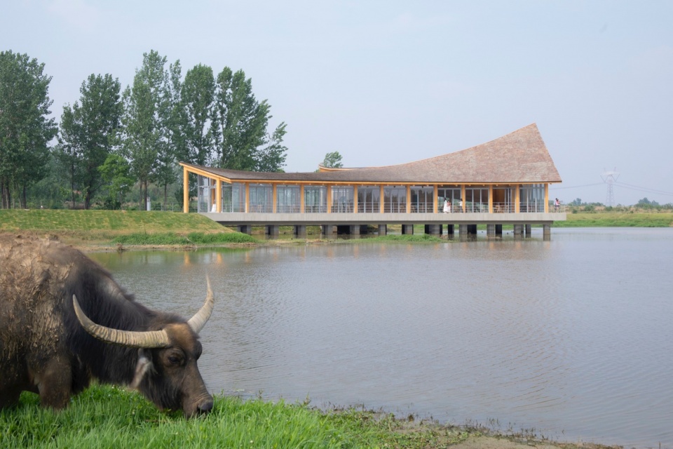 The Driftwood Village Center Xinyang by Primary Architects