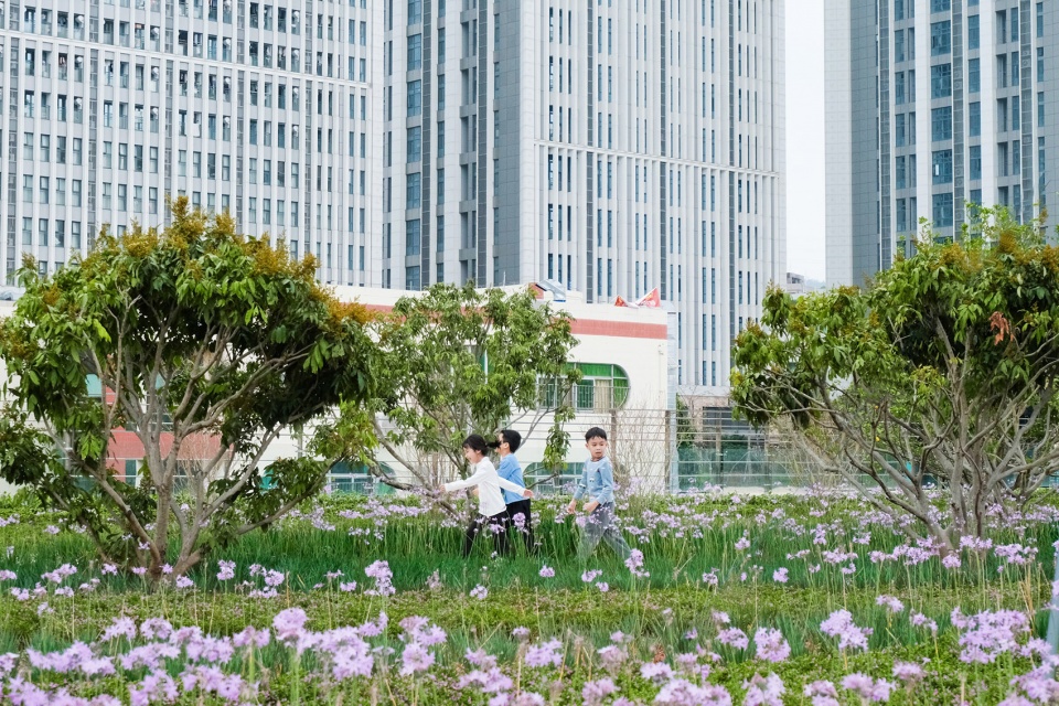 yueqing park by china southwest architectural design and research institute corp ltd shenzhen