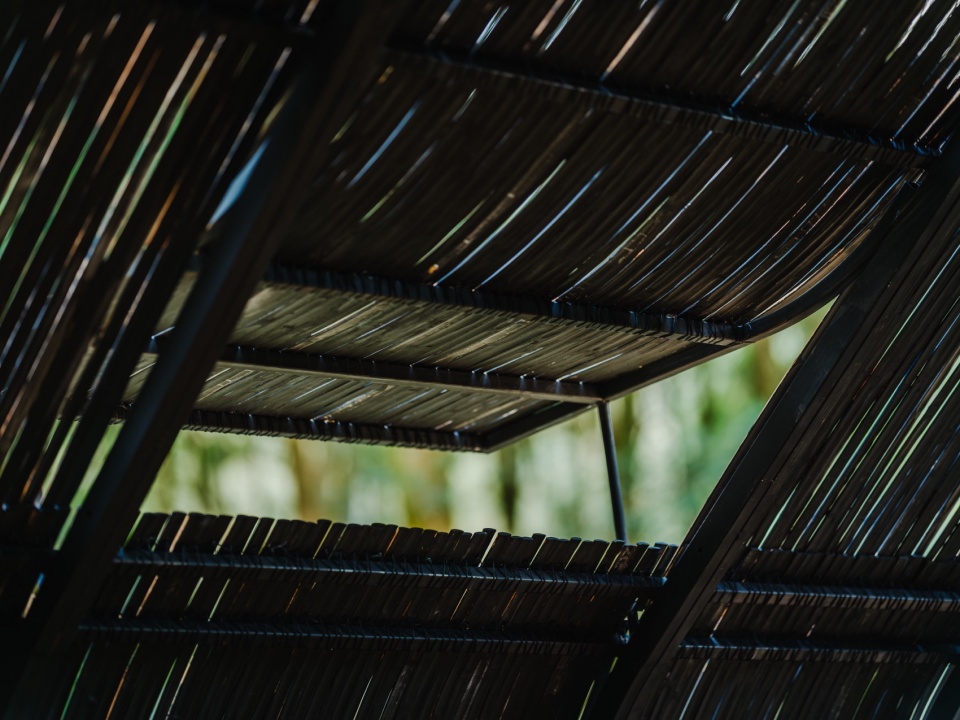 Bamboo Cabin Plan Sticky Rice Dumpling by Cheng Tsung FENG