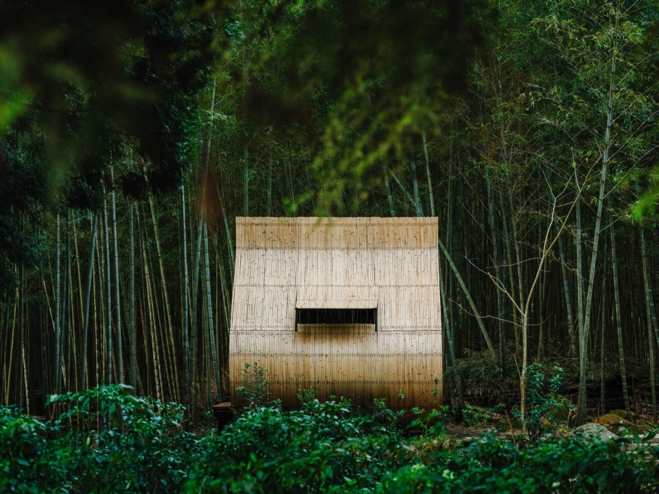 Bamboo Cabin Plan Sticky Rice Dumpling by Cheng Tsung FENG