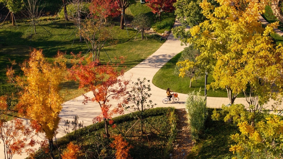 Landscape design of Alibaba Xixi Campus Park C by ASPECT Studios