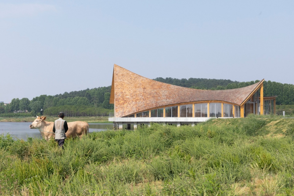 The Driftwood Village Center Xinyang by Primary Architects
