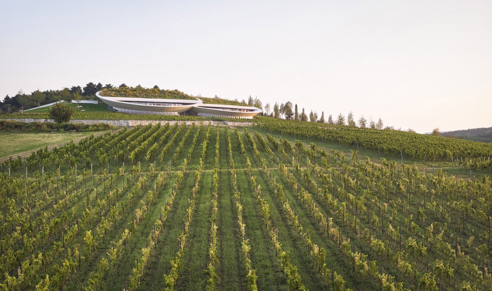 sauska tokaj winery by bord architectural studio