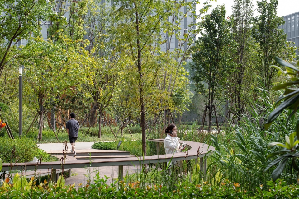 Landscape design of Alibaba Xixi Campus Park C by ASPECT Studios