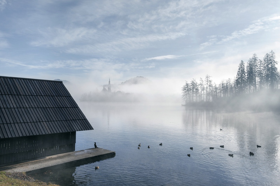 boathouse at lake bled by ofis architects