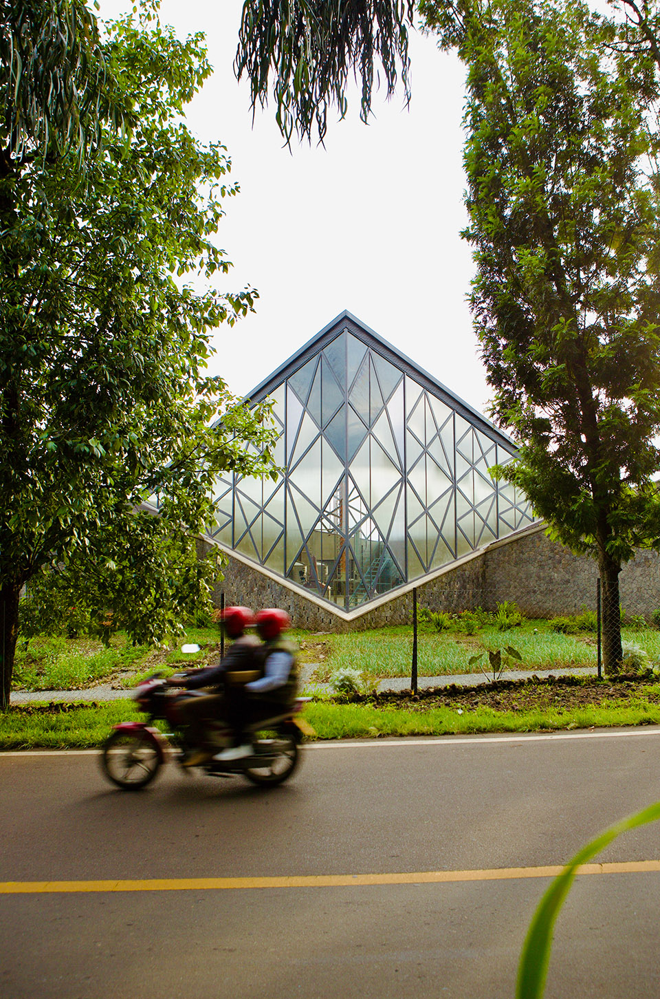 Virunga Mountain Spirits by BE Design exg
