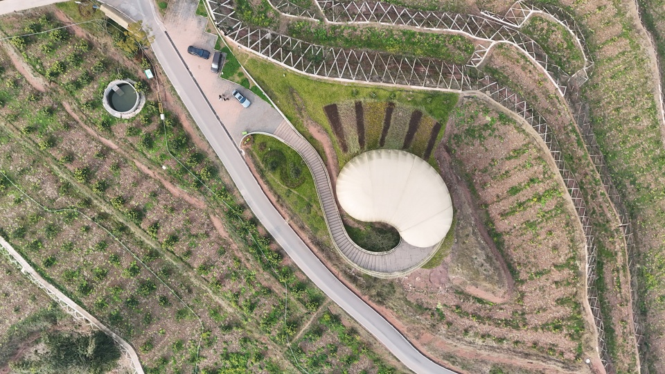 anyue lemon orchards