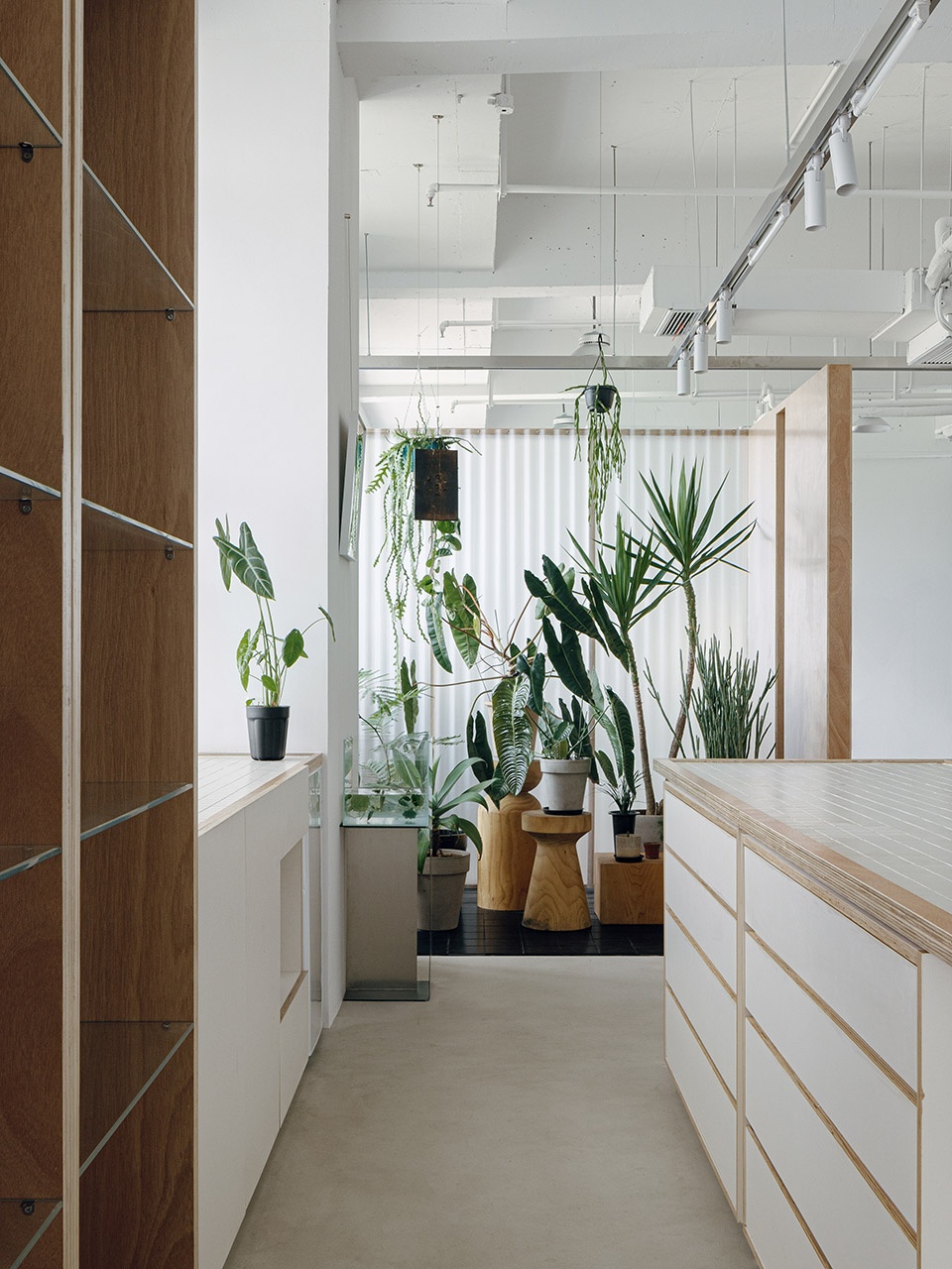 atelier lai horizon by fun photography studio by atelier lai horizon