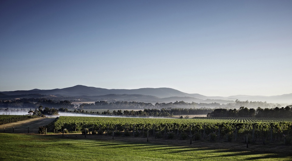 chandon homestead by melanie beynon