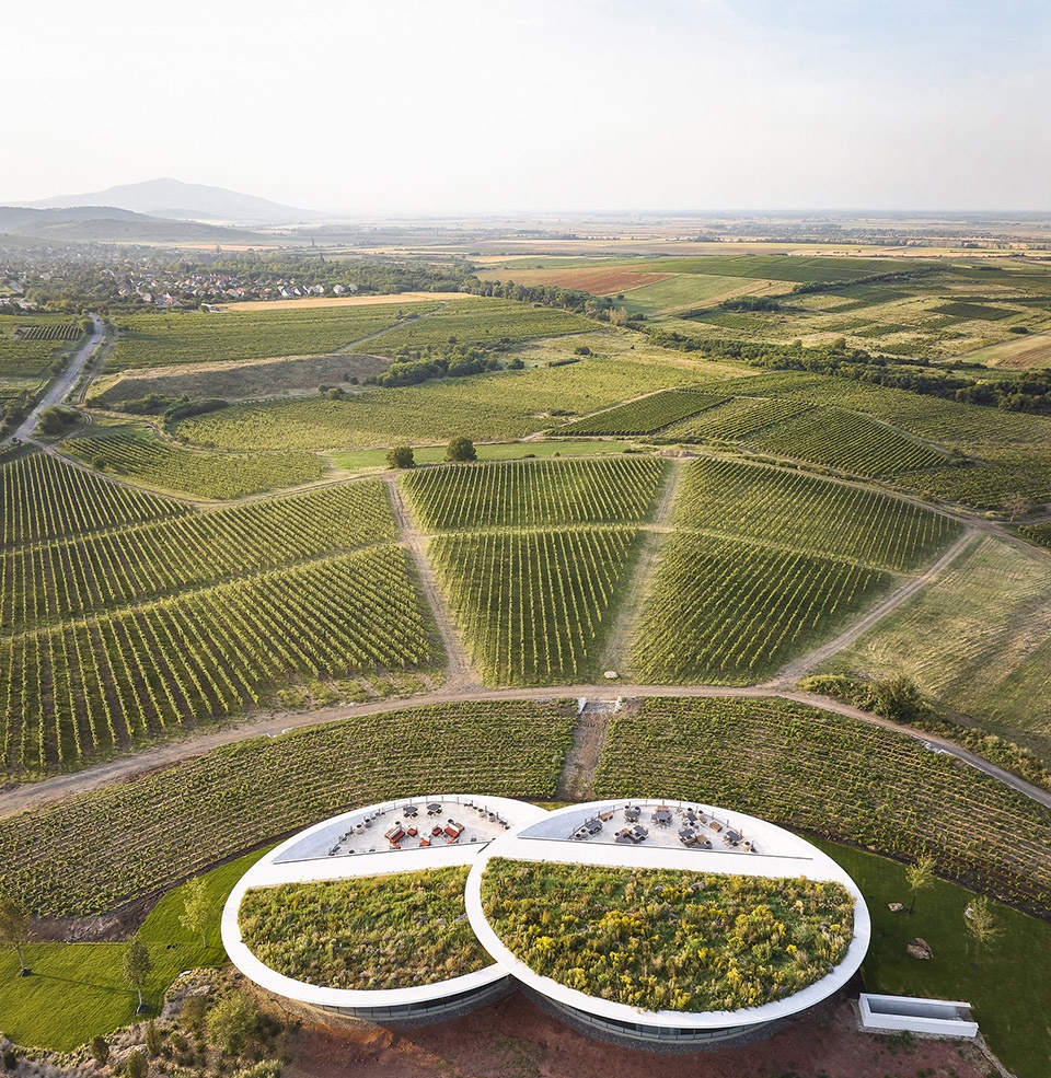 sauska tokaj winery by bord architectural studio