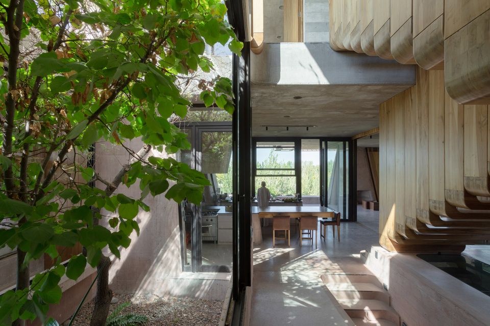 of brutal honesty by of studio