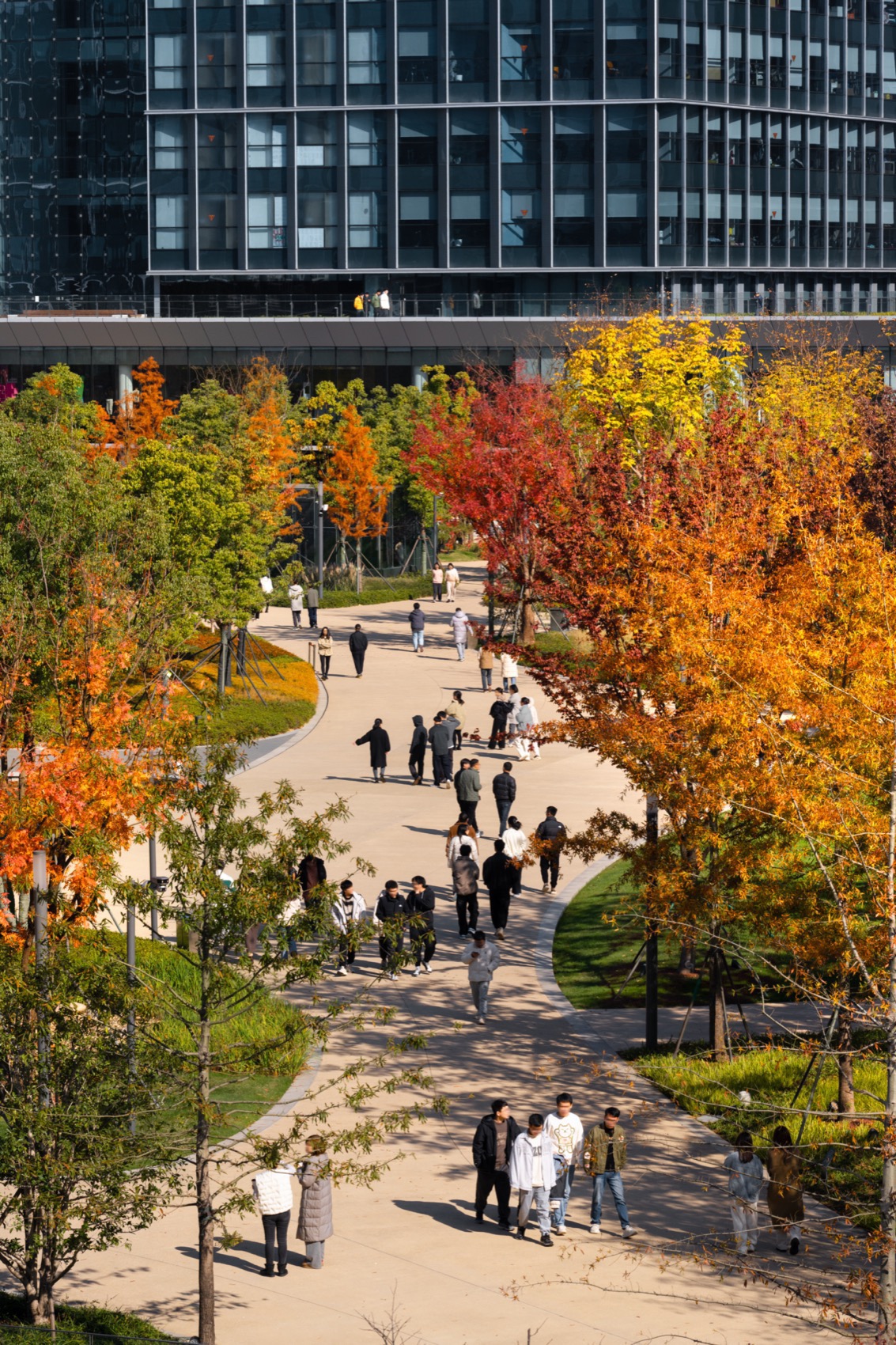 Landscape design of Alibaba Xixi Campus (Park C) by ASPECT Studios - 谷德设计网