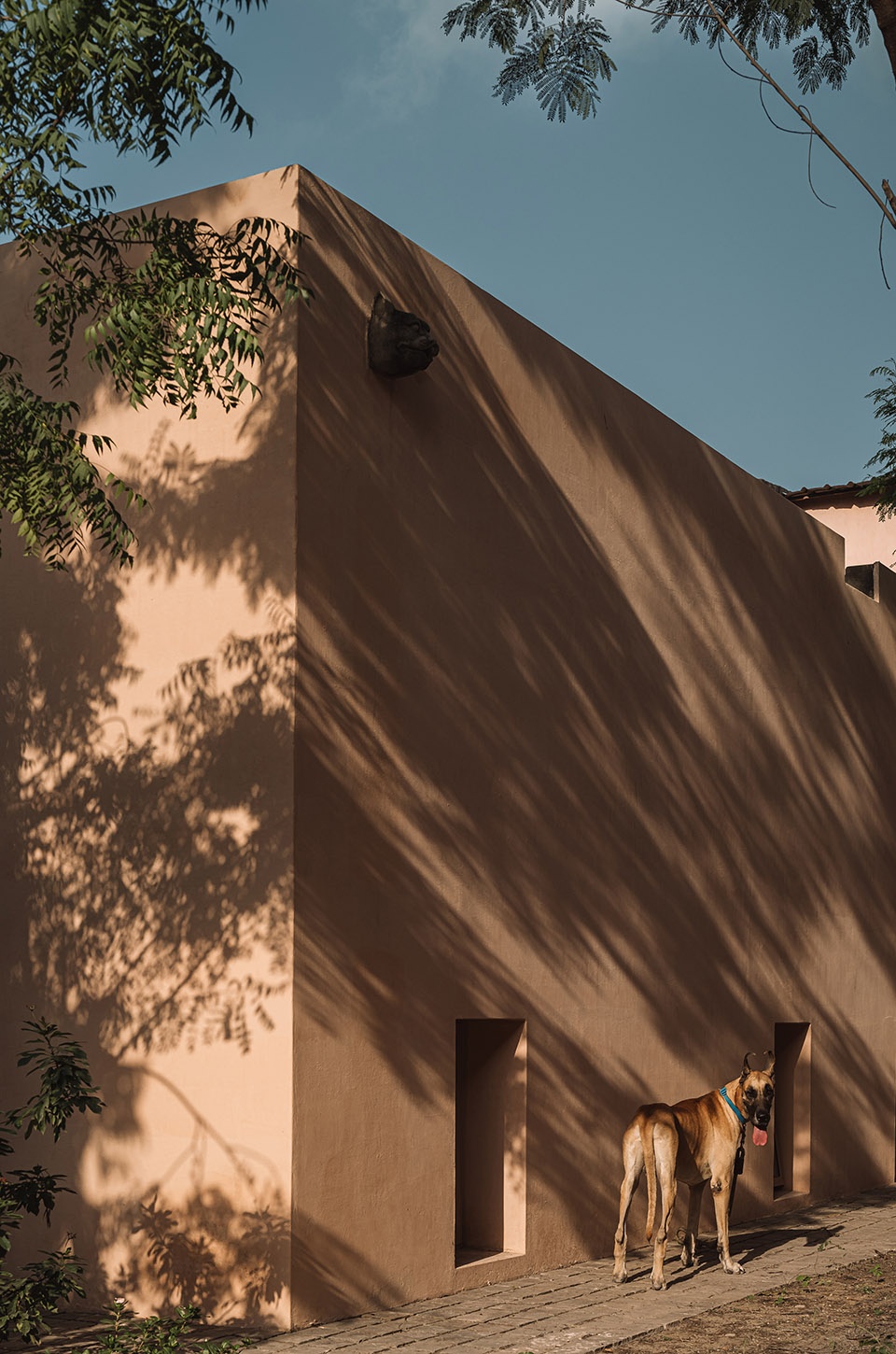 mana workspace by studio iksoi