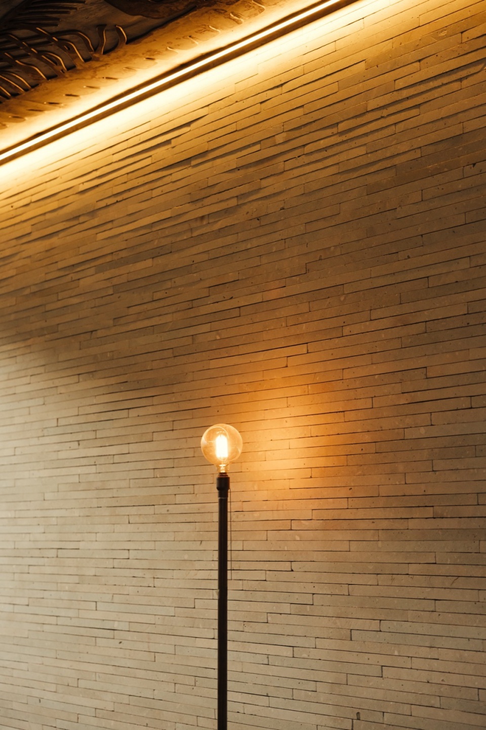 Casa Arco RootStudio