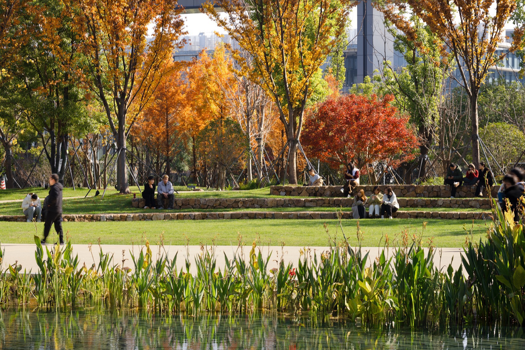 Landscape design of Alibaba Xixi Campus (Park C) by ASPECT Studios - 谷德设计网