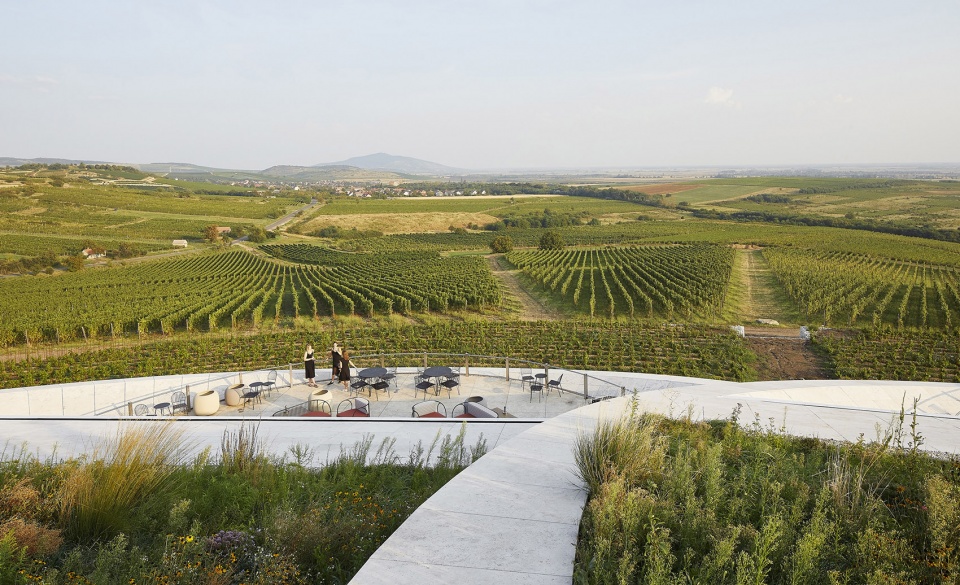 sauska tokaj winery by bord architectural studio