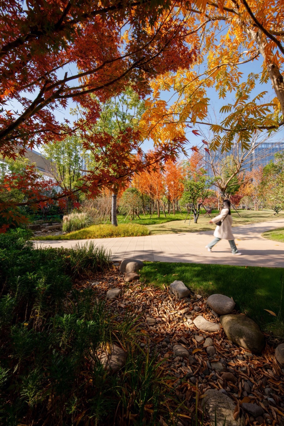 Landscape design of Alibaba Xixi Campus Park C by ASPECT Studios xvs