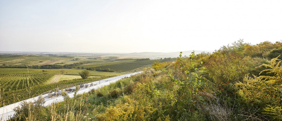 sauska tokaj winery by bord architectural studio