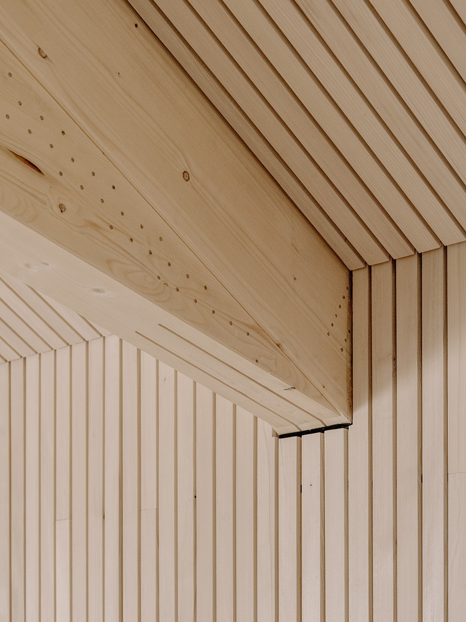 community center langen bei bregenz by mwarchitekten
