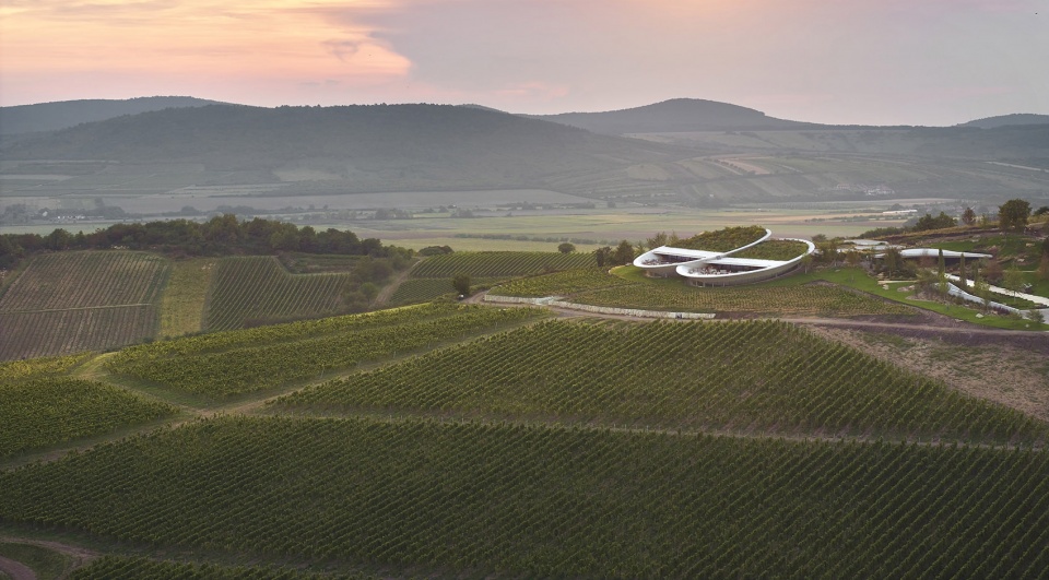 sauska tokaj winery by bord architectural studio