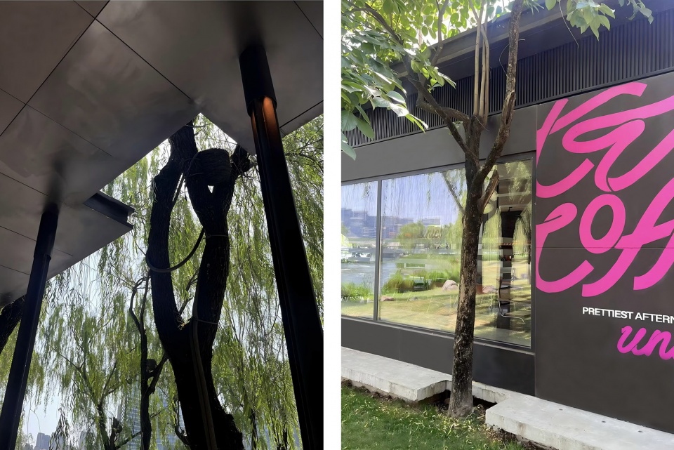 xiao teahouse mixc tree of life by guo xin space design