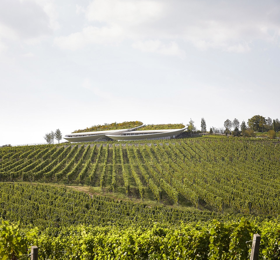 sauska tokaj winery by bord architectural studio