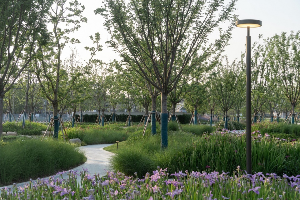 Landscape Design of Green Space on the East Side of Peiya South Road Jinze Town Shanghai by Landscape Design Department Shanghai United D...
