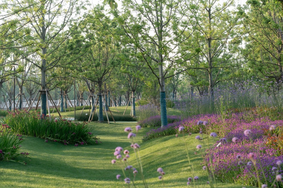 Landscape Design of Green Space on the East Side of Peiya South Road Jinze Town Shanghai by Landscape Design Department Shanghai United D...