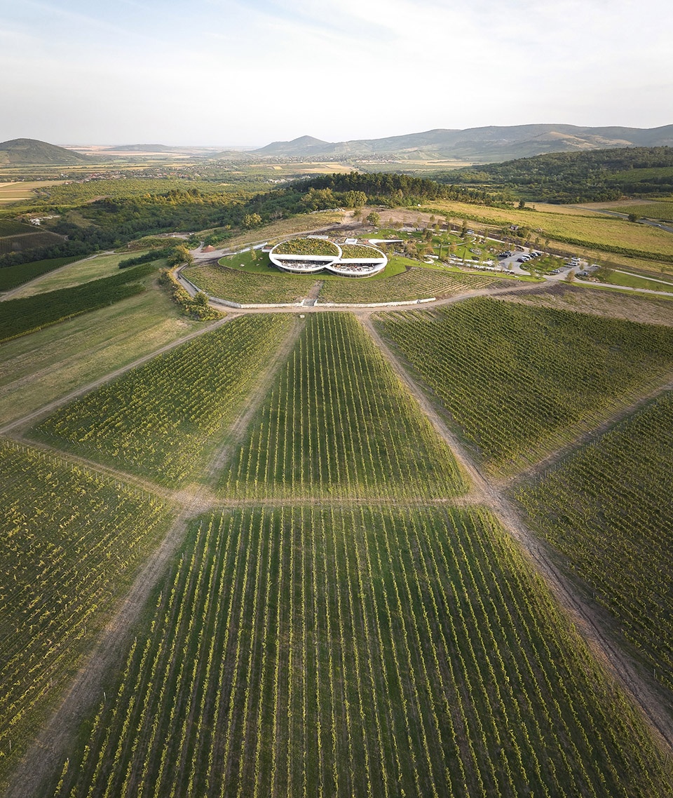 sauska tokaj winery by bord architectural studio