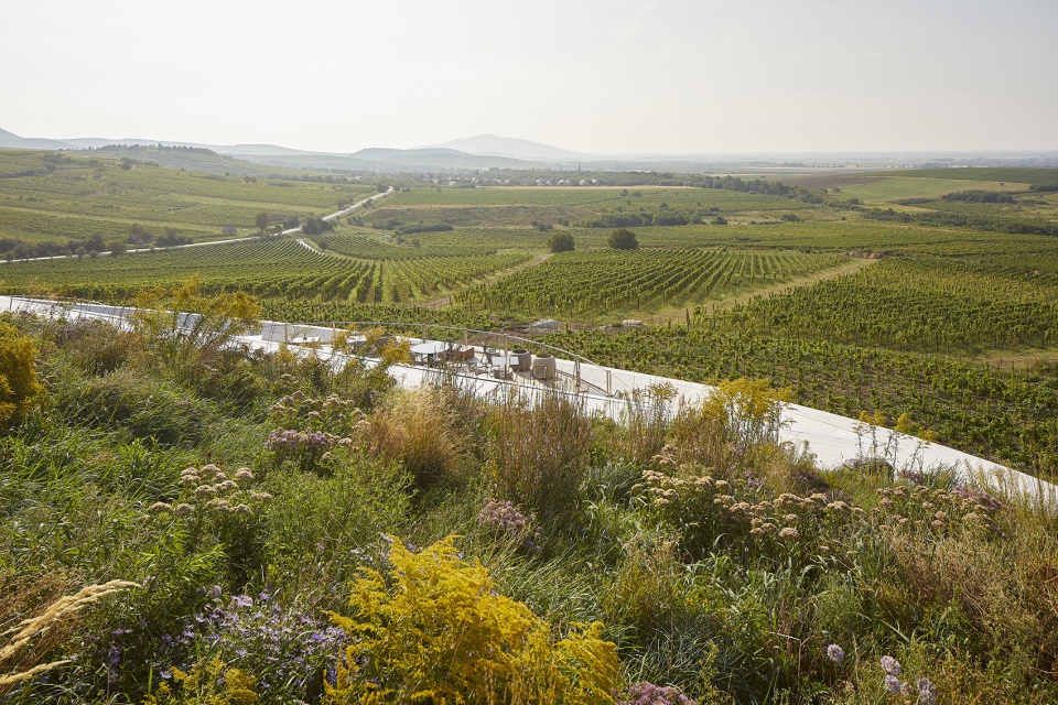 sauska tokaj winery by bord architectural studio
