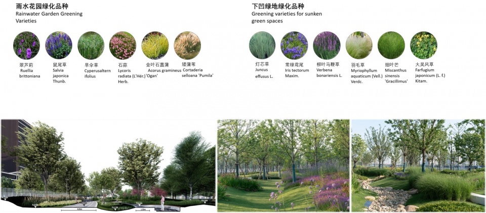 Landscape Design of Green Space on the East Side of Peiya South Road Jinze Town Shanghai by Landscape Design Department Shanghai United D...