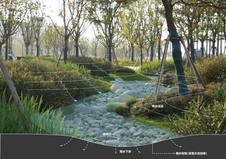 Landscape Design of Green Space on the East Side of Peiya South Road Jinze Town Shanghai by Landscape Design Department Shanghai United D...