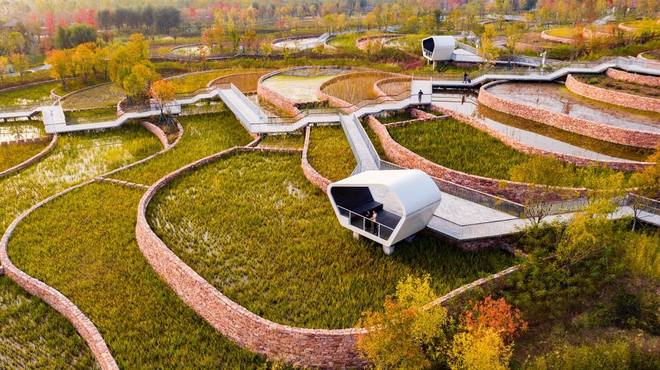 design as experiment the handan wastewater cleansing terraces by turenscape